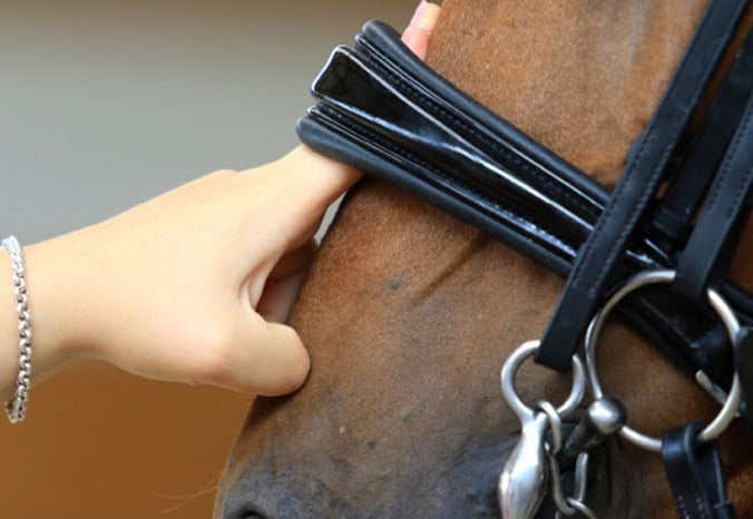 FEI-set-to-launch-noseband-tightness-measuring-tool-scheduled-for-deployment-in-January-2025. Rising Equine