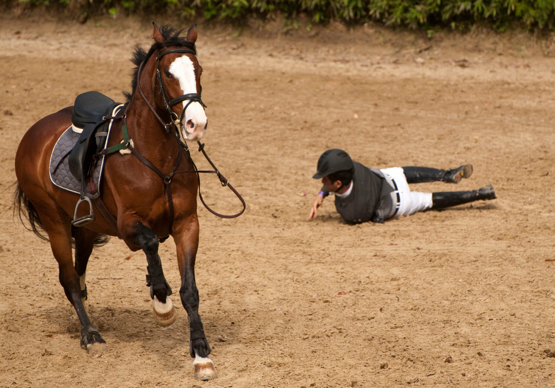 Managing your horse’s stress is crucial for their health and performance. Learn how TRM’s Good As Gold range, featuring magnesium, tryptophan, and B vitamins, helps reduce anxiety and promotes calm behavior in horses during high-stress situations.