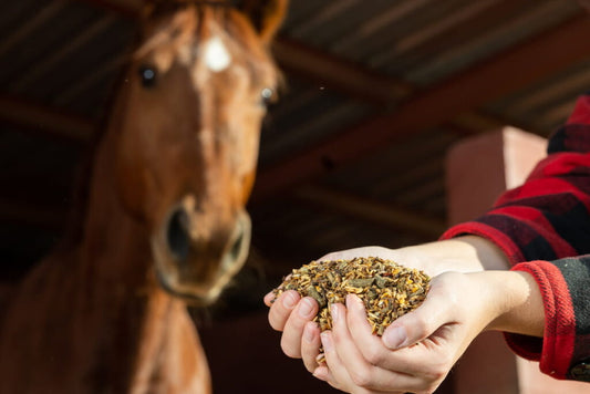 Is-your-horse-getting-the-vitamins-and-minerals-it-needs Rising Equine