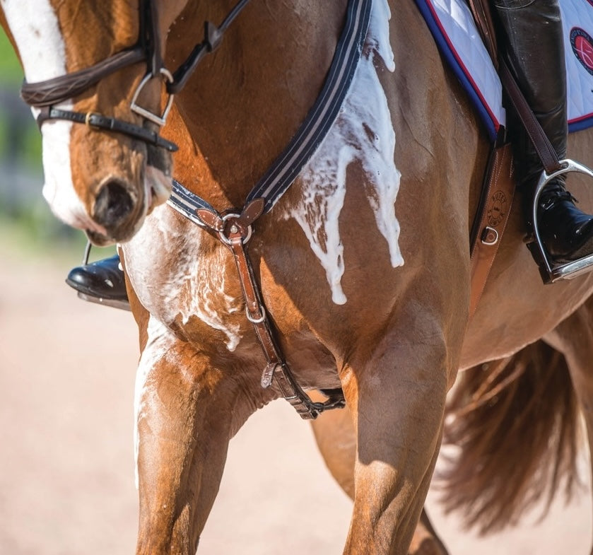 Electrolytes-for-Horses-When-What-and-How Rising Equine