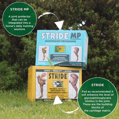 TRM STRIDE TRM Ireland