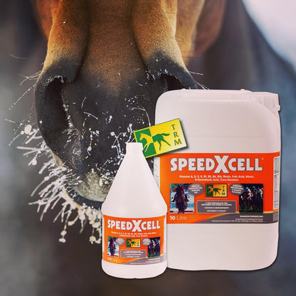 TRM SPEEDXCELL TRM Ireland