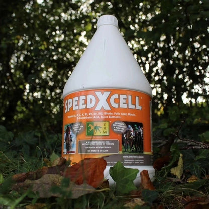 TRM SPEEDXCELL TRM Ireland