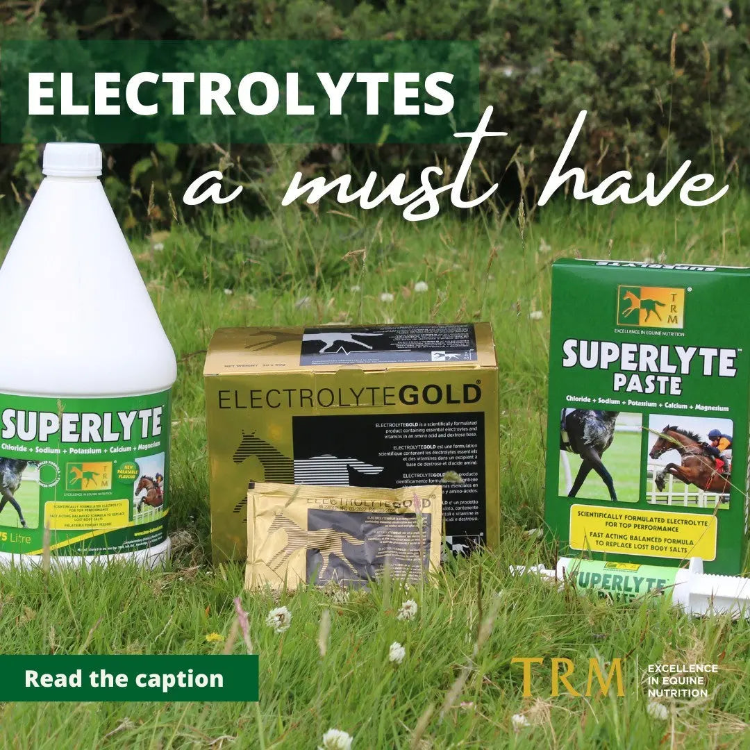 TRM ELECTROLYTE GOLD TRM Ireland